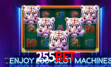 255bet cadastro